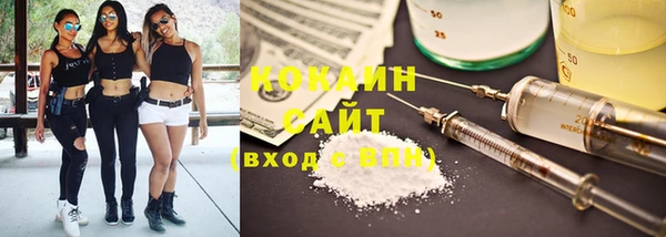 гашиш Богданович