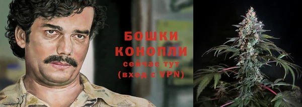 спиды Богородск