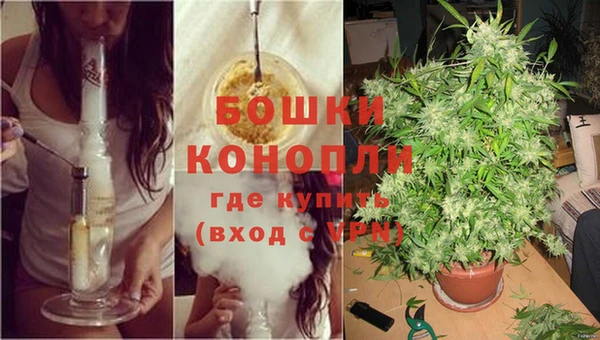спиды Богородск