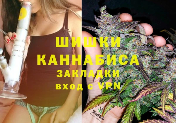 спиды Богородск