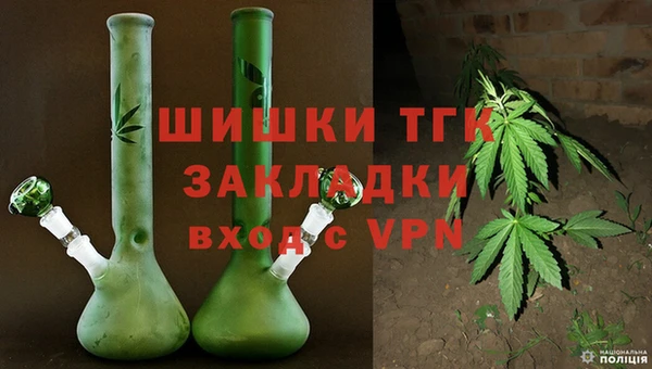 спиды Богородск
